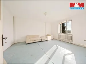 Prodej rodinného domu, Staré Město pod Landštejnem, 198 m2