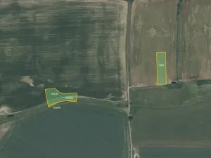 Prodej pole, Lážovice, 11020 m2