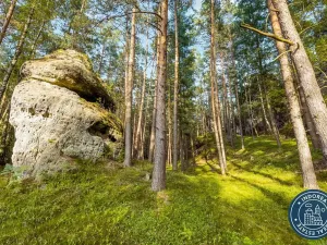 Prodej pozemku pro bydlení, Srbská Kamenice, 170714 m2