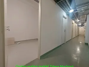 Pronájem bytu 1+kk, Praha - Žižkov, 38 m2