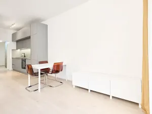 Prodej bytu 1+kk, Praha - Žižkov, Hartigova, 45 m2