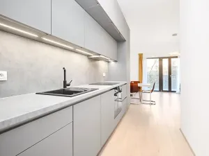 Prodej bytu 1+kk, Praha - Žižkov, Hartigova, 45 m2