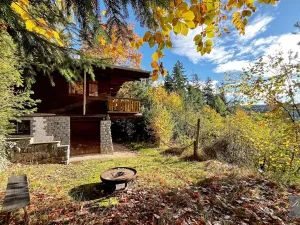 Prodej chaty, Orlík nad Vltavou, 88 m2