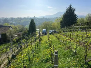 Prodej zahrady, Malé Žernoseky, 992 m2