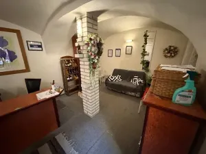 Prodej obchodního prostoru, Pelhřimov, 342 m2