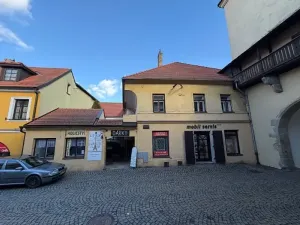 Prodej obchodního prostoru, Pelhřimov, 342 m2