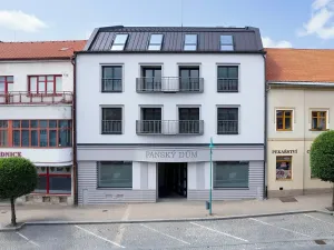 Prodej bytu 1+kk, Bystřice nad Pernštejnem, Masarykovo náměstí, 40 m2