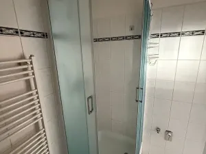 Pronájem bytu 1+kk, České Budějovice, Skuherského, 45 m2