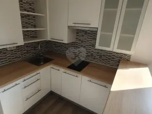 Pronájem bytu 1+kk, Praha - Černý Most, Bryksova, 19 m2