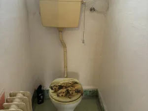 Pronájem bytu 2+1, Ostrava, Mendělejevova, 71 m2