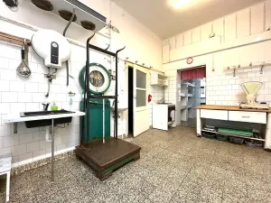 Pronájem obchodního prostoru, Brno, Gorkého, 101 m2