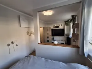 Prodej bytu 1+kk, Cheb, Žižkova, 32 m2