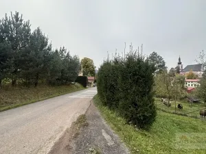 Prodej zemědělské usedlosti, Božanov, 170 m2