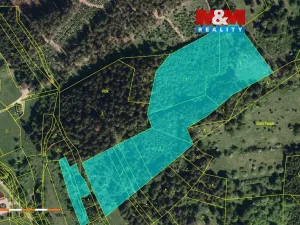 Prodej lesa, Nový Hrozenkov, 32112 m2