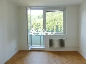 Prodej bytu 1+1, Adamov, 32 m2