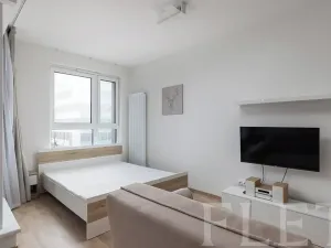 Pronájem bytu 1+kk, Praha - Žižkov, Olgy Havlové, 40 m2