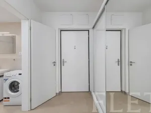 Pronájem bytu 1+kk, Praha - Žižkov, Olgy Havlové, 40 m2