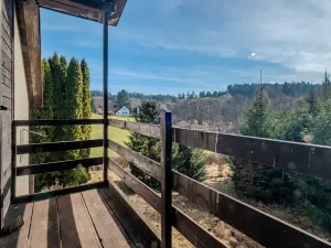 Prodej chaty, Petrovice II, 33 m2