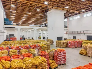 Prodej skladu, Kostelec nad Labem, Neratovická, 3457 m2