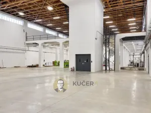 Prodej výrobních prostor, Kostelec nad Labem, Neratovická, 3457 m2