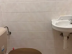 Pronájem rodinného domu, Soběsuky, 100 m2