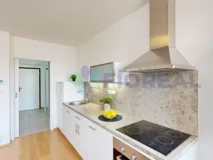 Pronájem bytu 1+kk, Praha - Žižkov, Rečkova, 32 m2