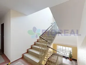 Pronájem bytu 1+kk, Praha - Žižkov, Rečkova, 32 m2