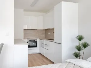 Pronájem bytu 1+kk, Brno - Veveří, Lidická, 52 m2