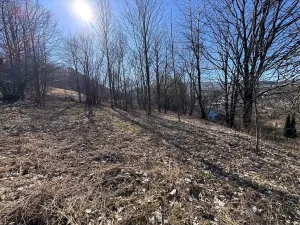 Prodej pozemku pro bydlení, Zlaté Hory, U Sv. Rocha, 5589 m2