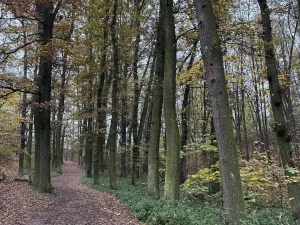 Prodej pozemku, Praha, 14747 m2