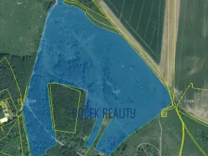 Prodej pole, Stříbro, 224265 m2