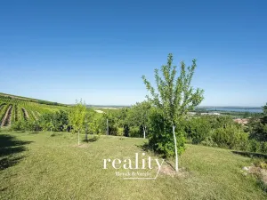 Prodej rodinného domu, Horní Věstonice, Mandloňová, 164 m2