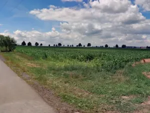 Dražba pozemku pro bydlení, Loket, 7909 m2