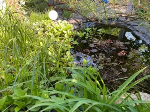 Prodej chaty, Malíč, Knobloška, 41 m2