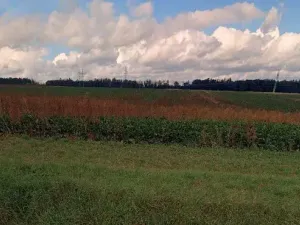 Prodej pole, Velichovky, 10641 m2