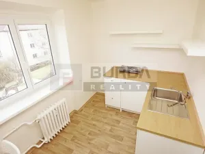 Pronájem bytu 1+1, Neratovice, 27 m2