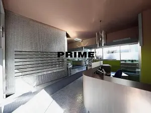 Pronájem bytu 2+kk, Praha - Žižkov, Prokopova, 58 m2