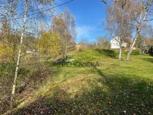 Prodej pozemku pro bydlení, Chanovice, 3800 m2