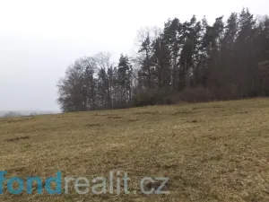 Prodej pole, Zvěstov, 51947 m2