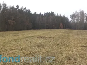 Prodej pole, Zvěstov, 51947 m2