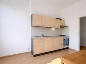 Pronájem bytu 1+1, Brno, Havlišova, 48 m2