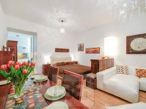 Pronájem bytu 1+1, Brno, Biskupská, 42 m2