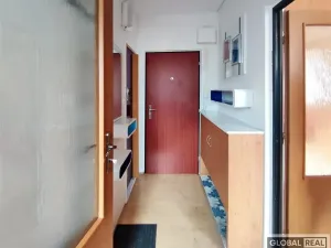 Pronájem bytu 1+1, Jihlava, Březinova, 32 m2