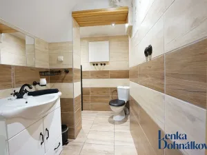 Prodej vinného sklepa, Mutěnice, 210 m2