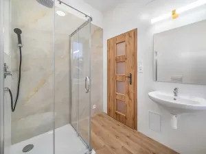 Pronájem bytu 1+1, Plzeň, Dvorní, 63 m2