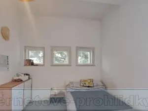 Pronájem pokoje, Praha - Vinohrady, Ruská, 15 m2