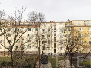 Prodej bytu 1+kk, Praha - Žižkov, Biskupcova, 28 m2