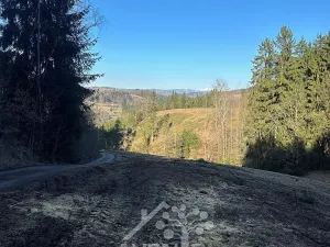 Prodej louky, Bozkov, 15029 m2