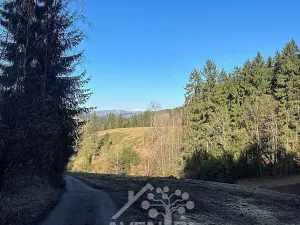 Prodej louky, Bozkov, 15029 m2