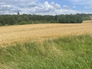 Prodej podílu pozemku, Krásněves, 12458 m2